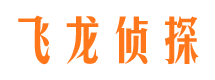 威县调查事务所